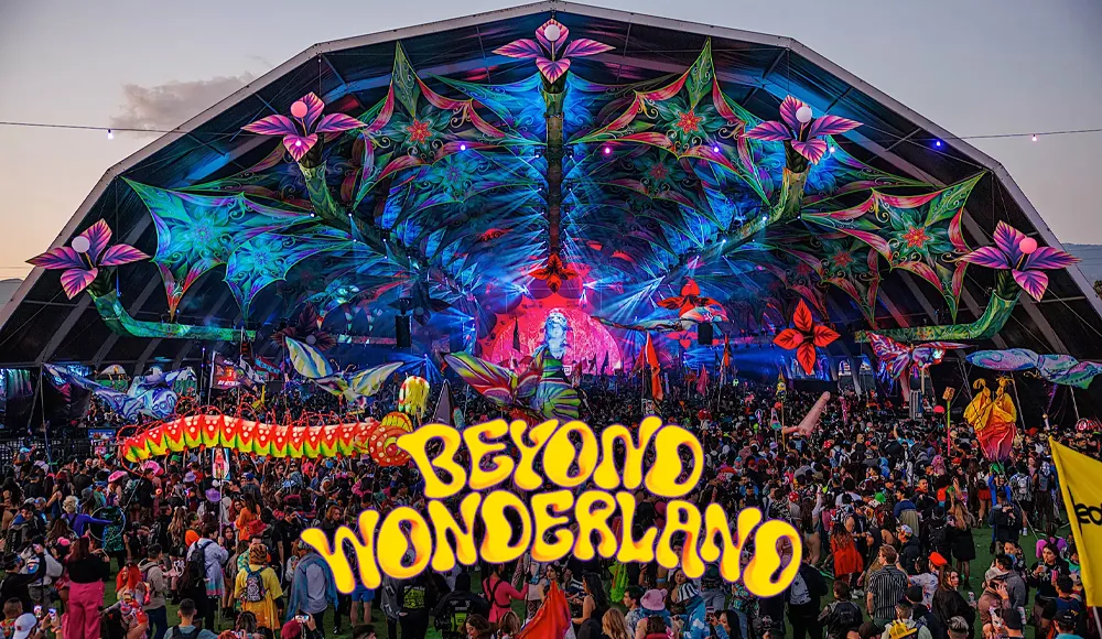 Beyond Wonderland Chicago